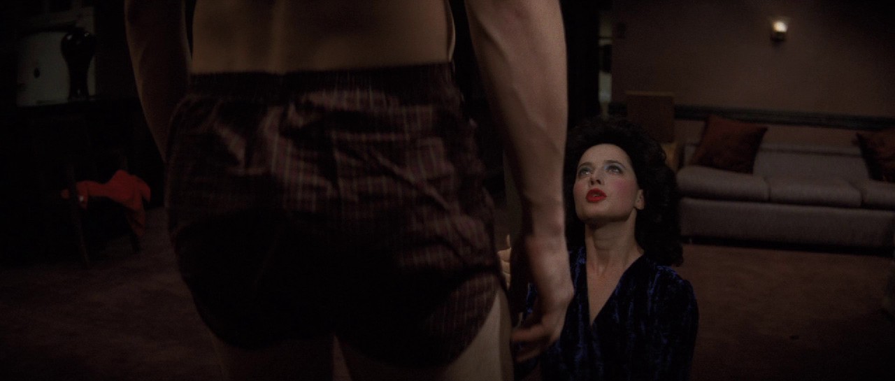 Blue Velvet (1986) BluRay Hindi + English 1080p x264 AVC DD 5.1 ESub.mkv.0001
